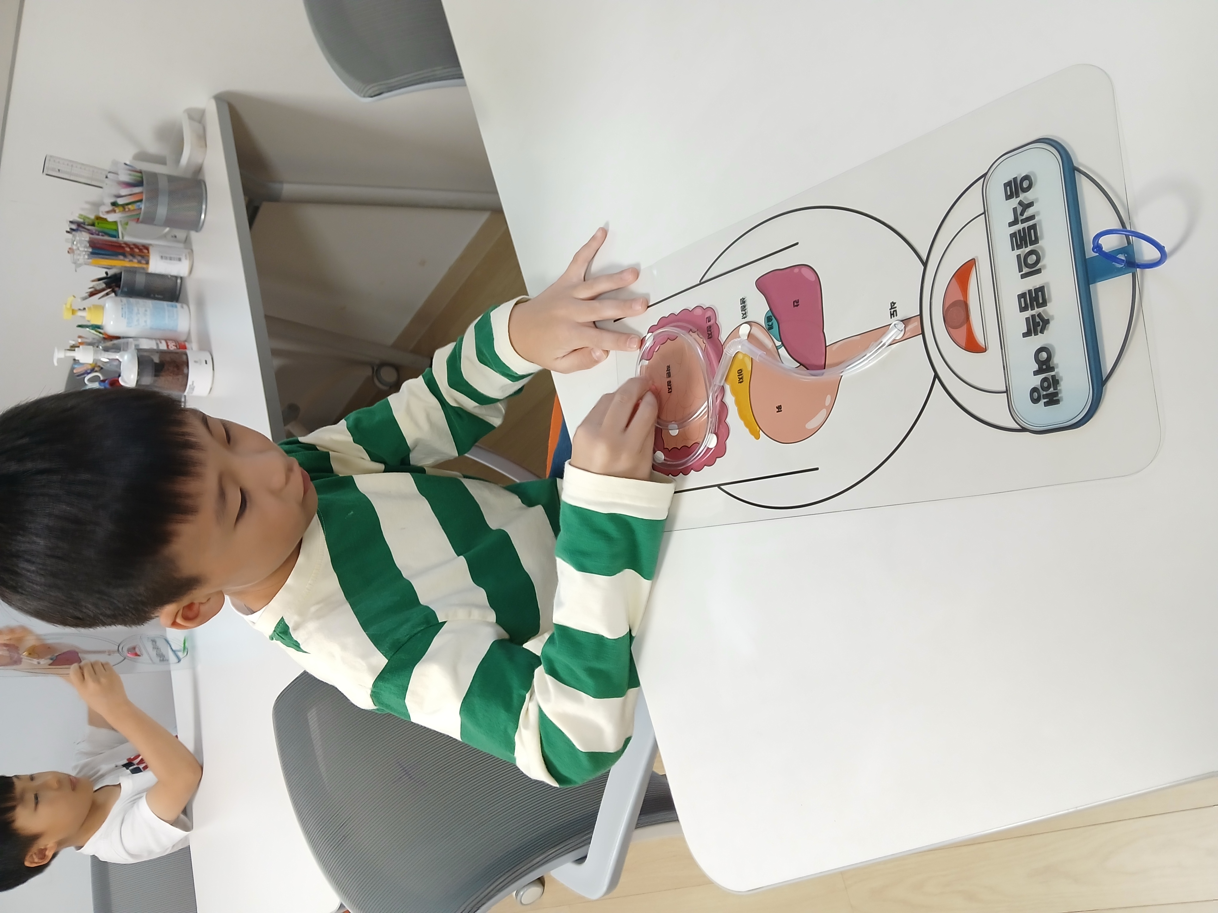 해당파일이미지