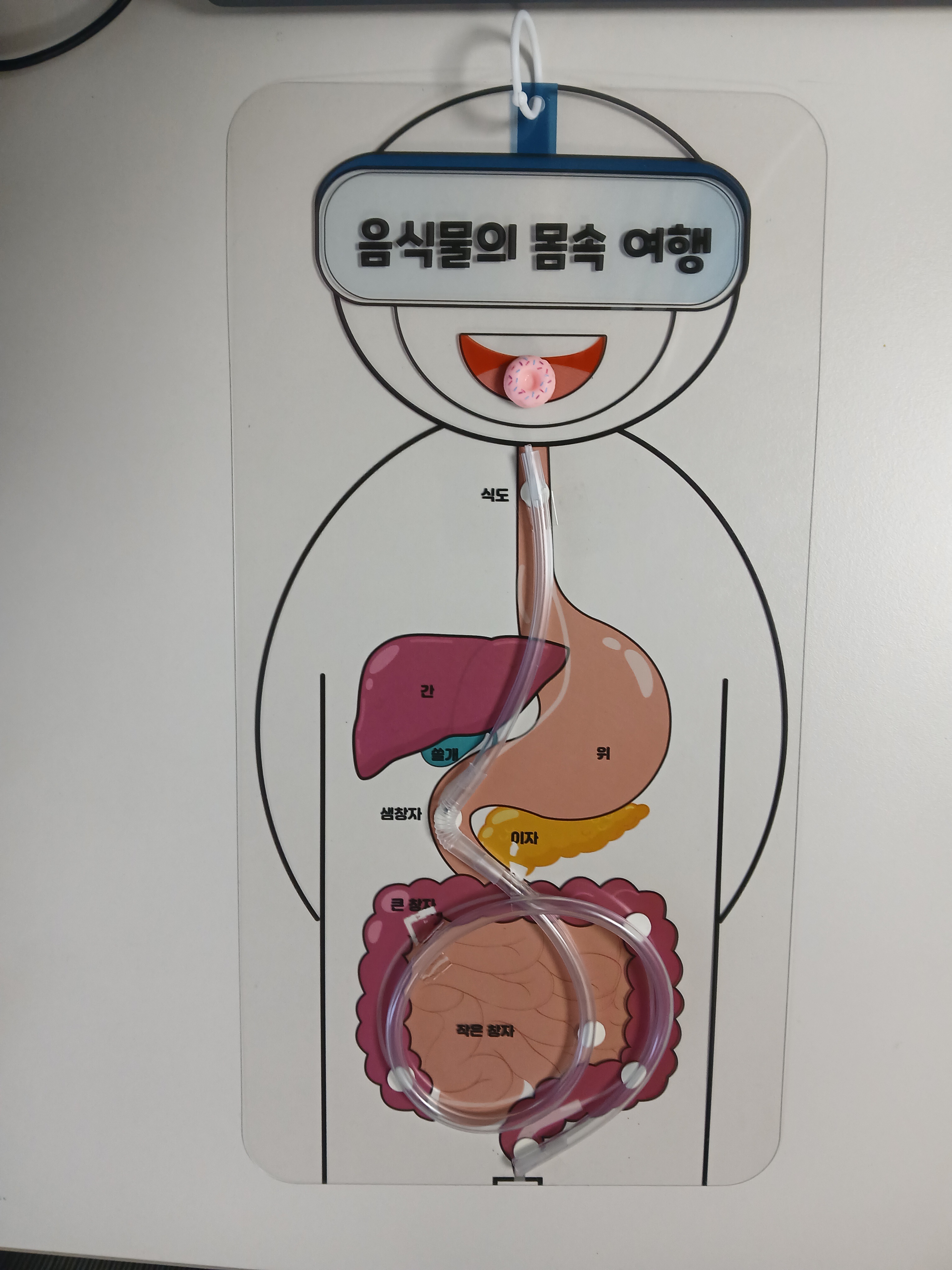 해당파일이미지